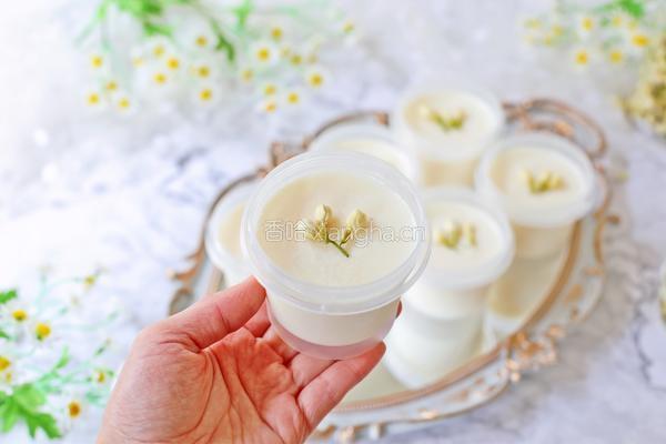 茉莉花奶冻的做法图解15