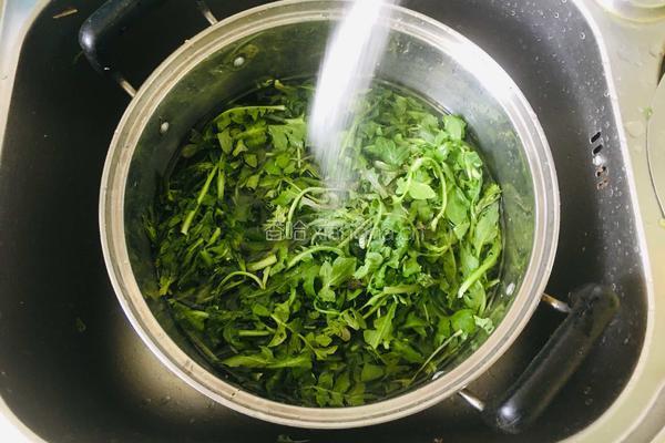 家庭版荠菜饺子的做法图解2