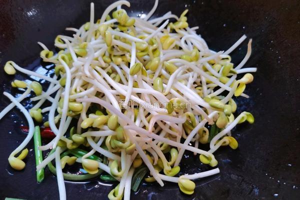 清炒黄豆芽的做法图解10