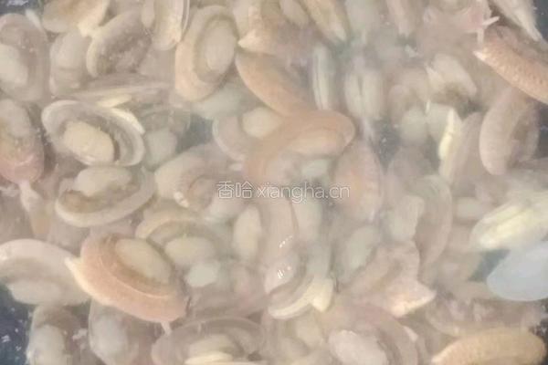海鲜酱炒花甲的做法图解2