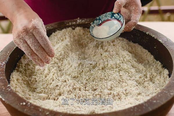 榨豆浆剩下来的豆渣做成霉豆渣 和五花肉一起炒太香了的做法图解3