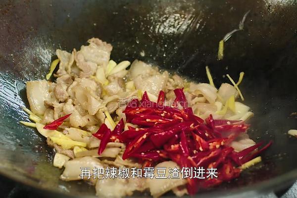 榨豆浆剩下来的豆渣做成霉豆渣 和五花肉一起炒太香了的做法图解8