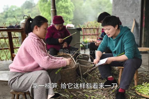 自制泡椒小笋酸辣开胃（内附老母水做法）的做法图解3