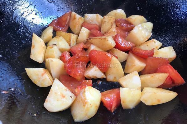 番茄土豆炖牛肉的做法图解12