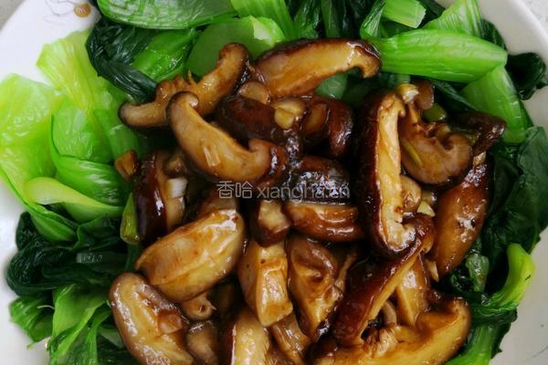 香菇油菜的做法图解9