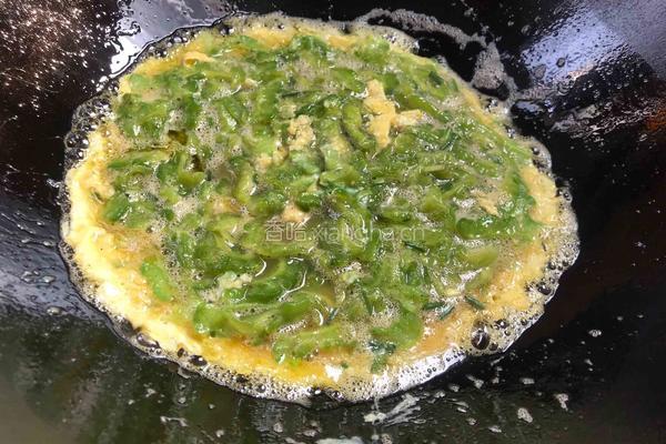 苦瓜鸡蛋摊饼的做法图解9