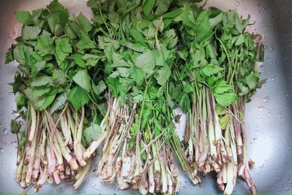 豆腐干丝炒野芹的做法图解1