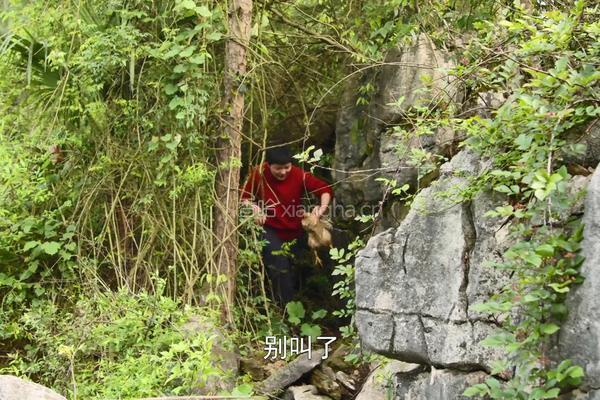 电饭煲焖鸡做法 不加一滴油也很好吃（内附万能香辣料汁做法）的做法图解1