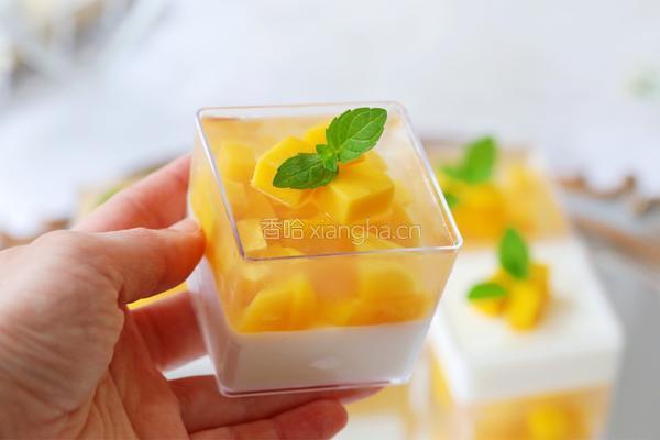 芒果双层布丁的做法图解14