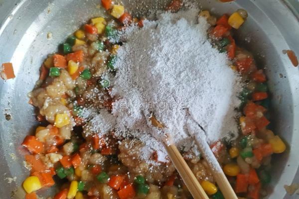 时蔬鸡肉饼（低卡减脂）的做法图解8