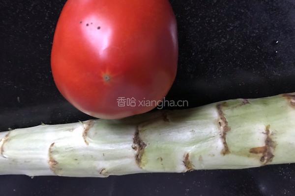 番茄炒莴笋的做法图解1