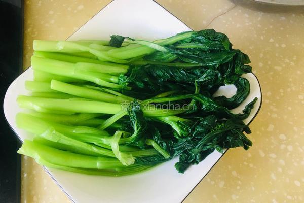 白灼菜心的做法图解4