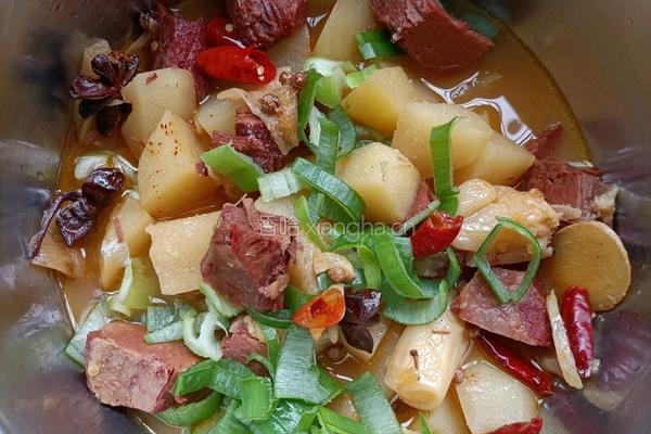 土豆炖牛肉的做法图解10