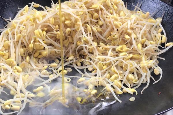 干煸黄豆芽的做法图解6