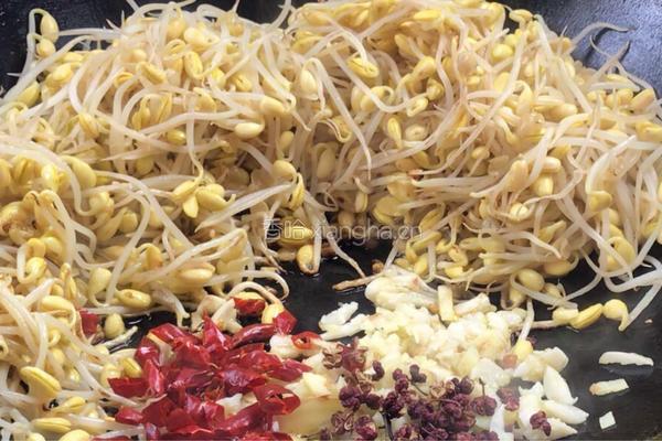 干煸黄豆芽的做法图解7
