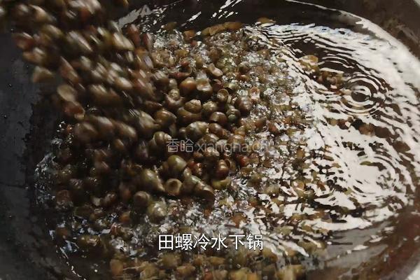 夏天来了 趁着下田 做了个香辣田螺酱的做法图解3