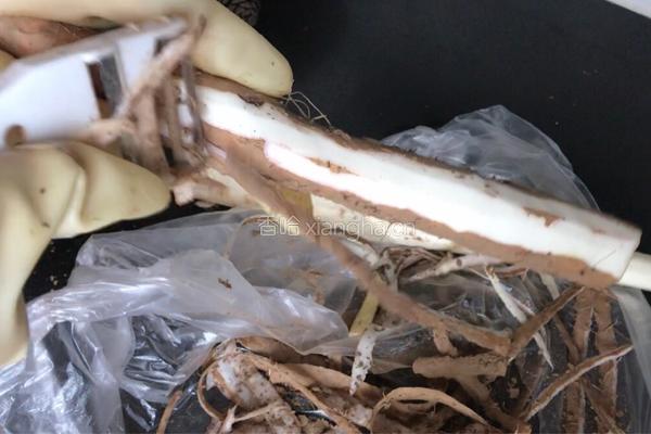 黑木耳山药脊骨汤的做法图解8
