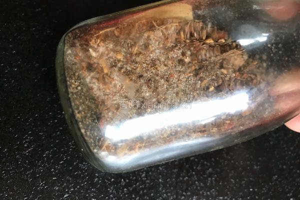 煎豆腐的做法图解5