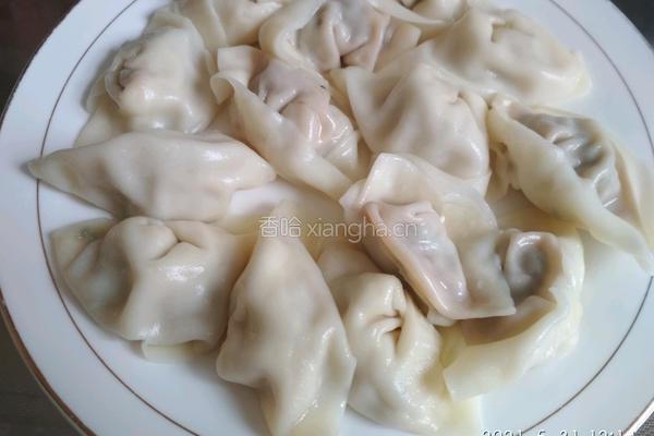 无丝芸豆猪肉水饺的做法图解16