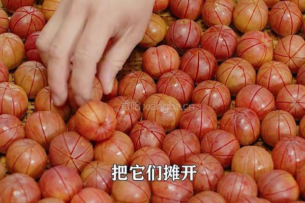 夏季时令水果酸李子 做成糖醋李子 酸酸甜甜的做法图解3