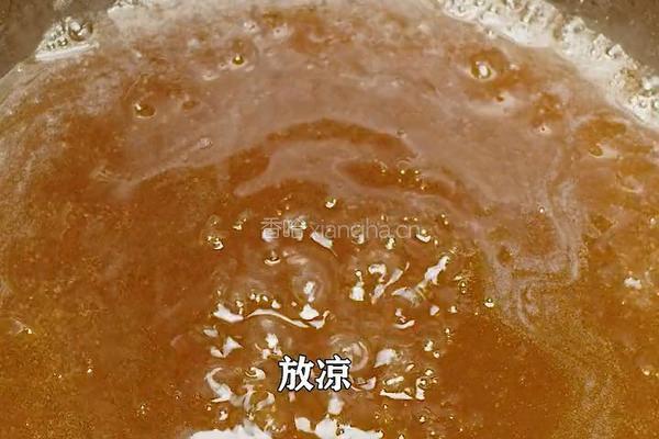 夏季时令水果酸李子 做成糖醋李子 酸酸甜甜的做法图解4