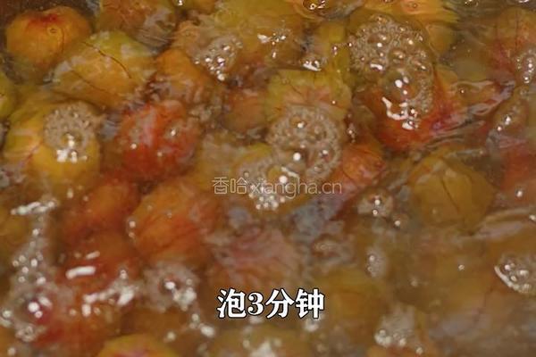 夏季时令水果酸李子 做成糖醋李子 酸酸甜甜的做法图解2
