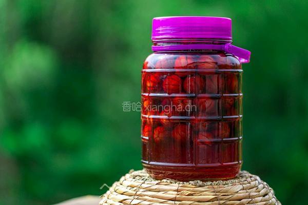 夏季时令水果酸李子 做成糖醋李子 酸酸甜甜的做法图解6