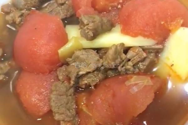 番茄炖牛腩的做法图解5