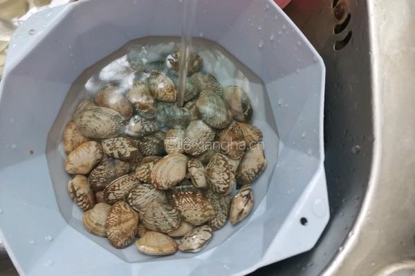 花蛤丝瓜汤的做法图解7