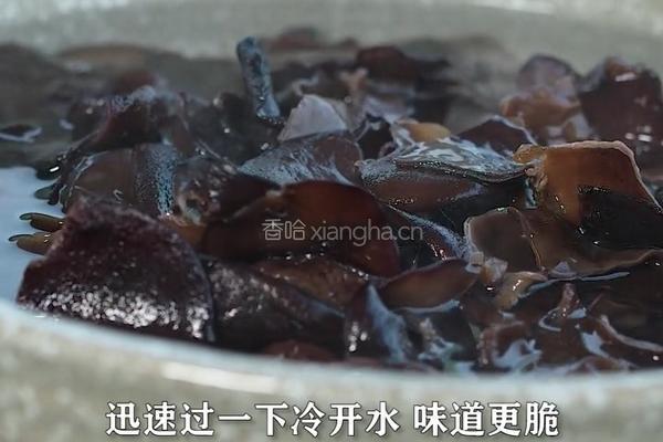 秘密料汁做凉拌木耳 这个料汁拌海带丝黄瓜条都好吃的做法图解4