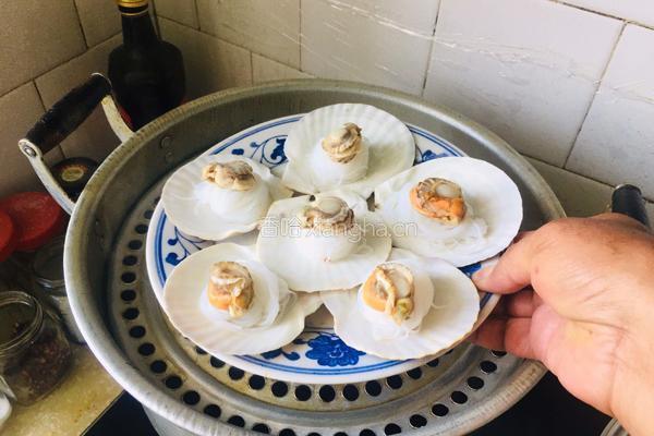 蒜蓉粉丝蒸扇贝的做法图解7