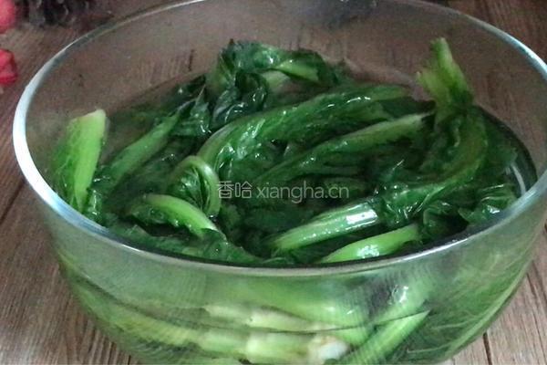 凉拌苦麻菜的做法图解10
