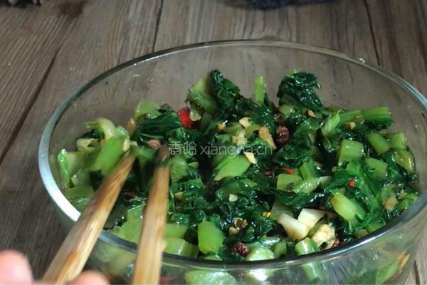 凉拌苦麻菜的做法图解13
