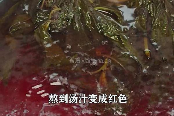 紫苏杨梅桃子姜 夏日饮品 老长沙地道小吃的做法图解6