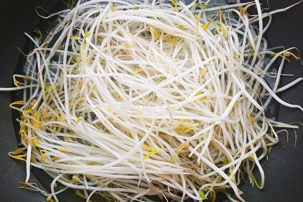 炝拌绿豆芽的做法图解5