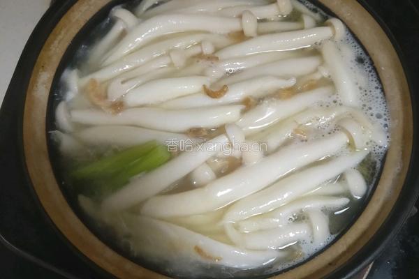 海鲜菇豆腐汤的做法图解5