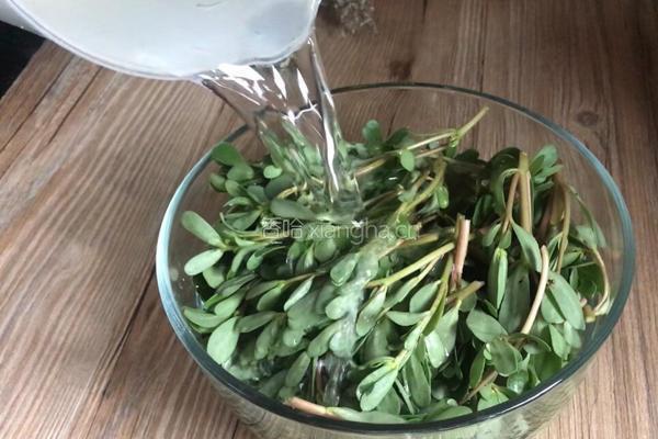 马齿苋拌牛肉的做法图解4