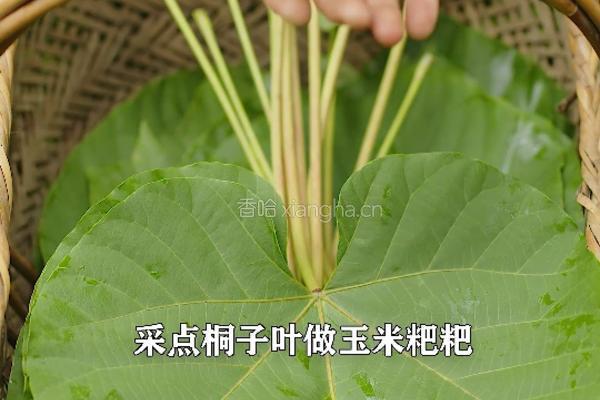 桐子叶（玉米叶）粑粑 香甜软糯的做法图解1