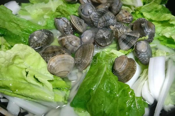花蛤青菜面的做法图解4