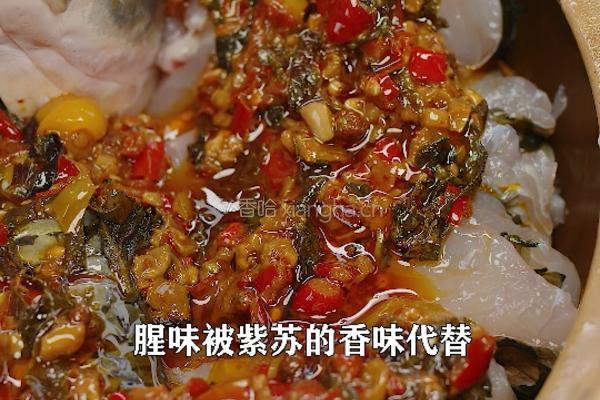 自制香辣紫苏调料焖鱼肉 又香又辣的做法图解4