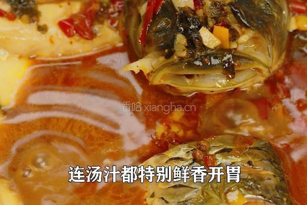 自制香辣紫苏调料焖鱼肉 又香又辣的做法图解5