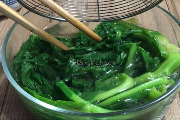 蒜香苦麻菜的做法图解7