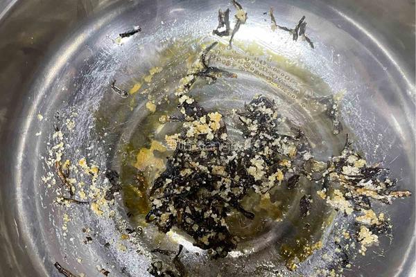 自制珍珠奶茶的做法图解2