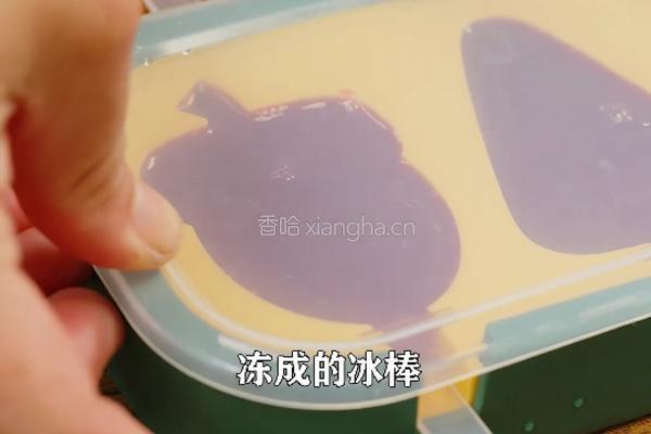 自家种的杨梅做成杨梅干杨梅冰棒 酸酸甜甜的做法图解8