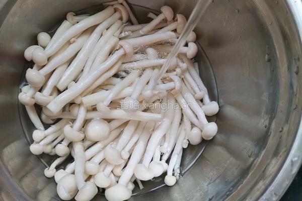 酥炸海鲜菇的做法图解1