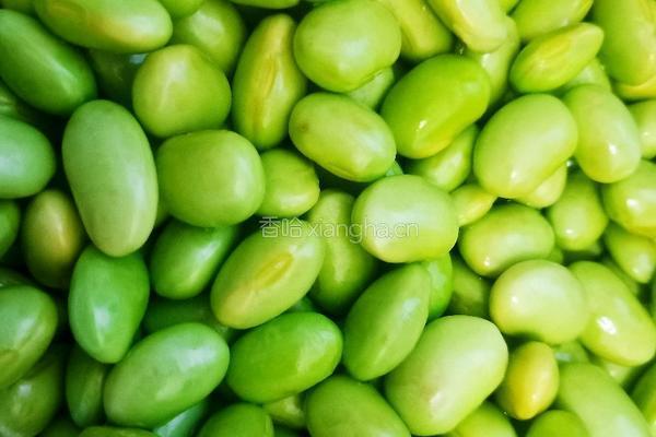 从不失手的牛肉烩菜的做法图解5