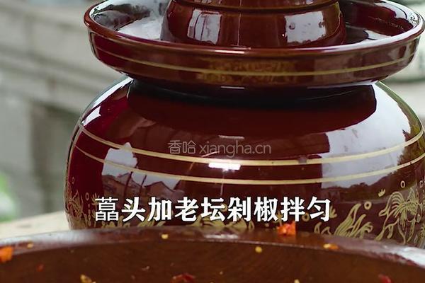 酸辣剁椒藠头 专治夏天没胃口的做法图解5
