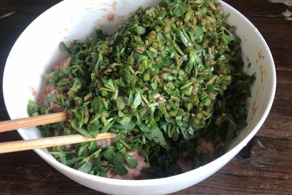 马齿苋韭菜馅饺子的做法图解7