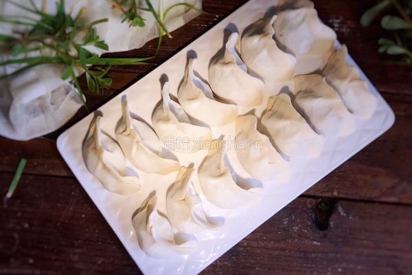 马齿苋韭菜馅饺子的做法图解15