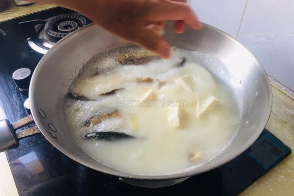 鲫鱼冬瓜豆腐汤的做法图解5